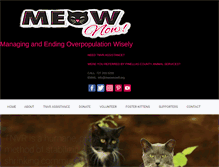 Tablet Screenshot of meownowfl.org
